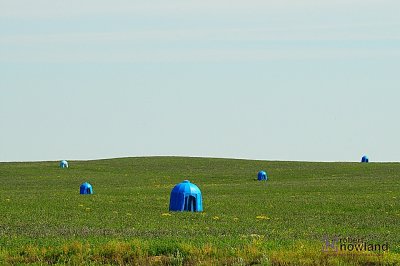 DTC_0901-r.JPG