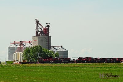 DTC_0931-r.JPG