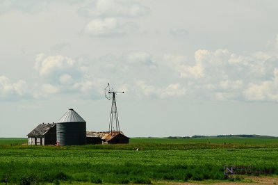 DTC_0946-r.JPG