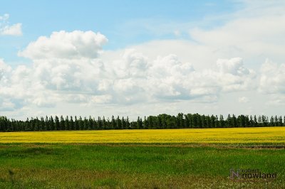 DTC_0949-r.JPG