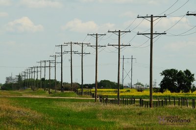 DTC_0958-r.JPG