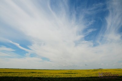 DTC_0968.JPG