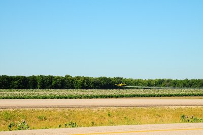 DTC_1130-r.JPG