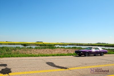 DTC_1163-r.JPG