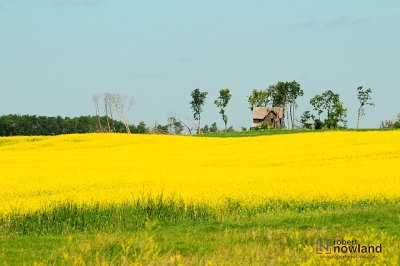 DTC_1186-r.JPG