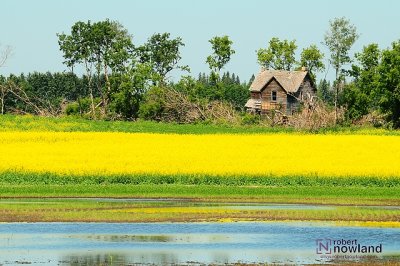 DTC_1192-r.JPG
