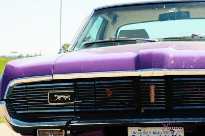 DTC_1199-r.JPG