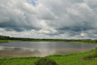 DTC_1594-r.JPG