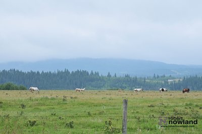 DTC_3909-r.JPG