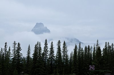 DTC_3922-r.JPG