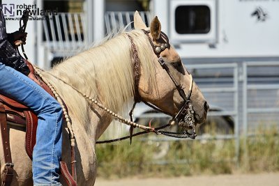 Riding Clinic