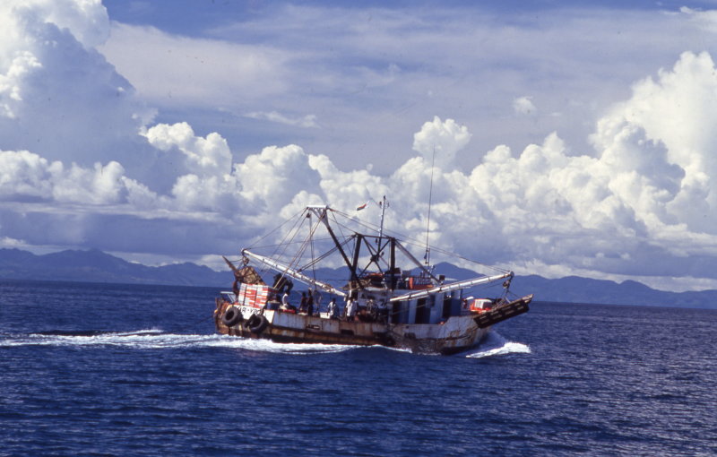 img007.jpg