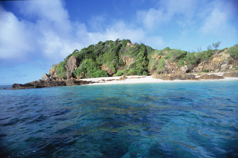 img009.jpg