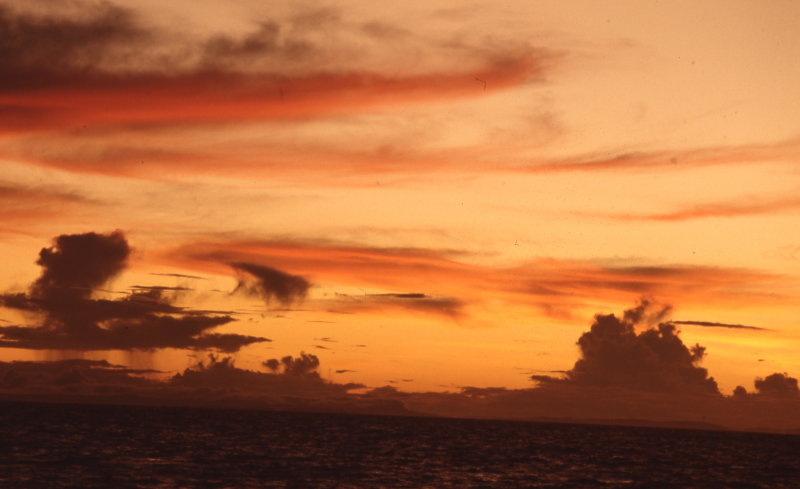 img028_resize.jpg