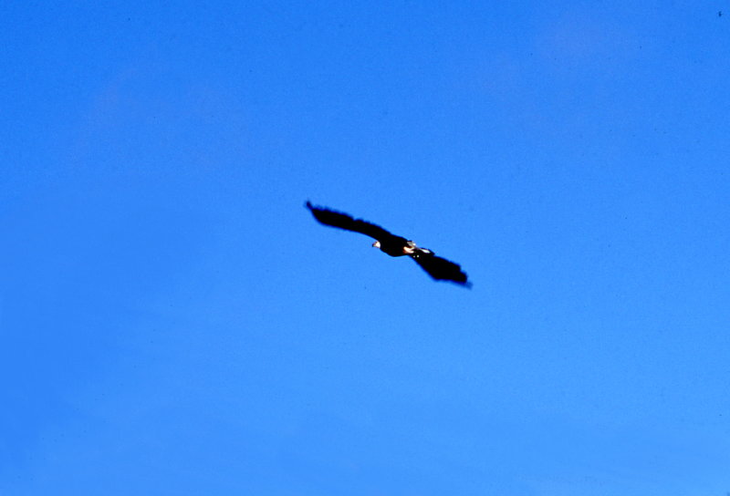 img032.jpg