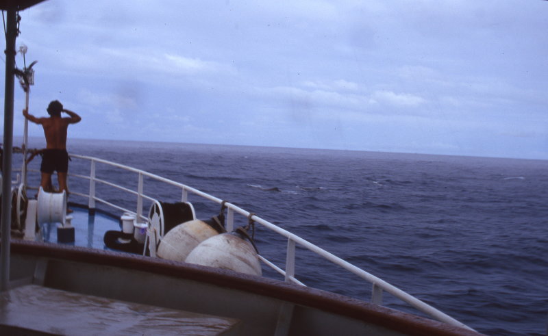 img042.jpg