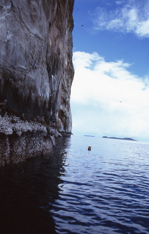 img065x.jpg