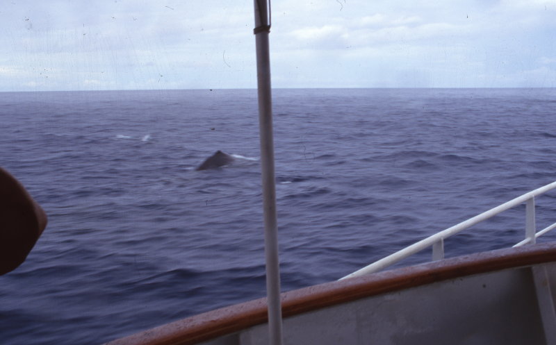 img074.jpg