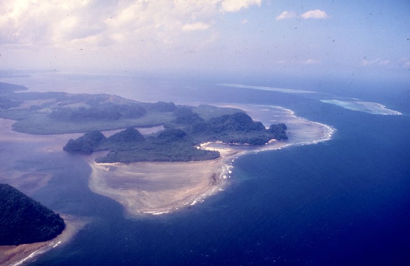 Diving and Exploring in Palau