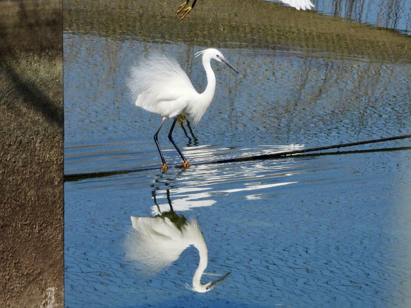FullSizeRender.jpg