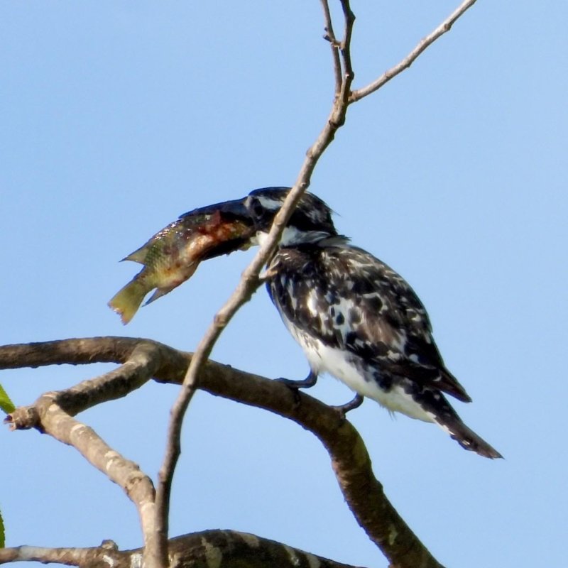 IMG_8716.JPG