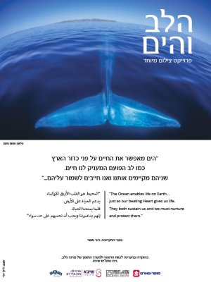 The Heart and the Sea - הלב והים