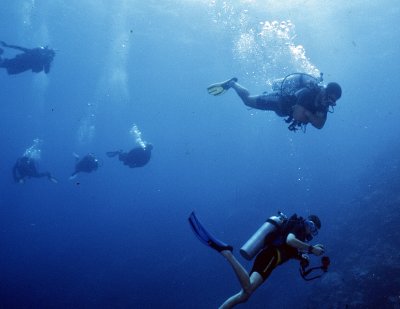 Diving and Exploring in Palau