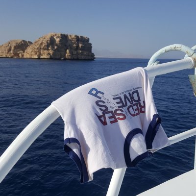 Red Sea Divers Tshirt at Ras Mohamed