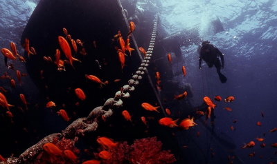 Anchor chain of the Jolanda lying on the reef.jpg