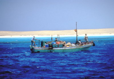 Bedouin Fishermen advising about the shipwreck.JPG