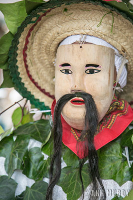 Feo dancer with foliage