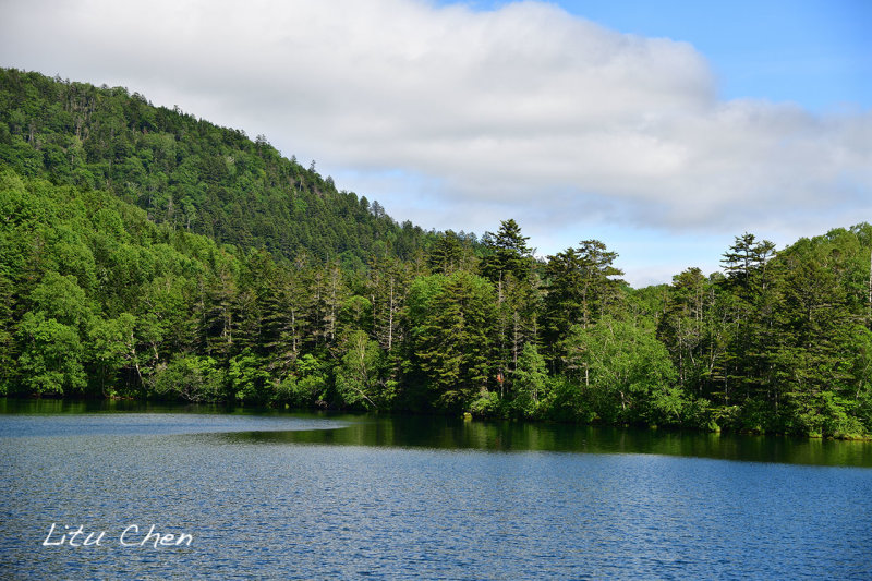 DSC_6076.jpg