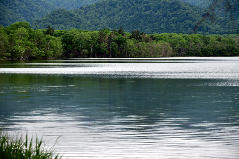 DSC_6458.jpg