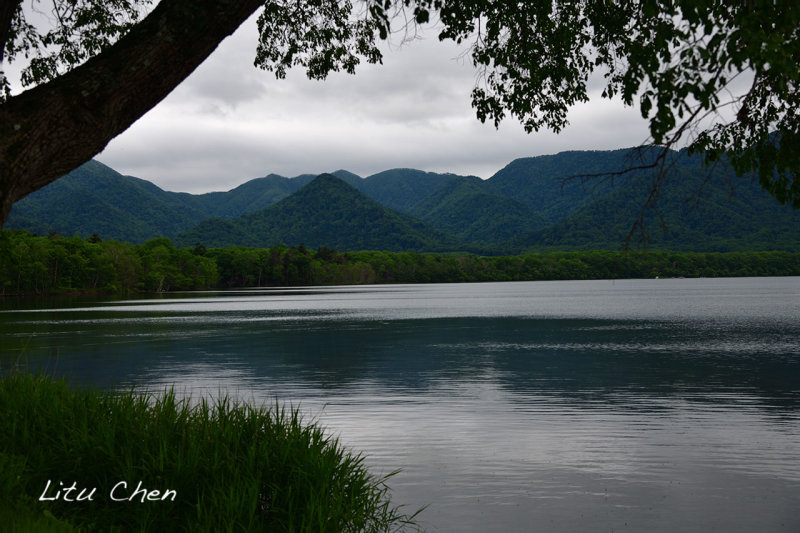 DSC_6470.jpg