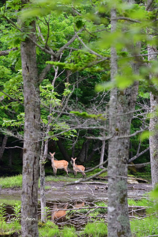 DSC_6518.jpg