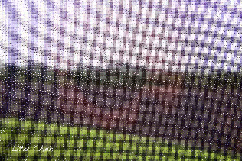 DSC_6536.jpg