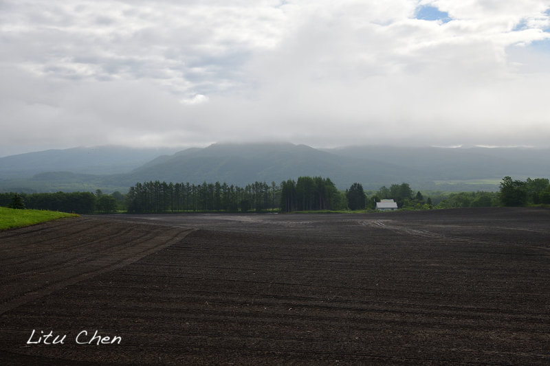DSC_6579.jpg