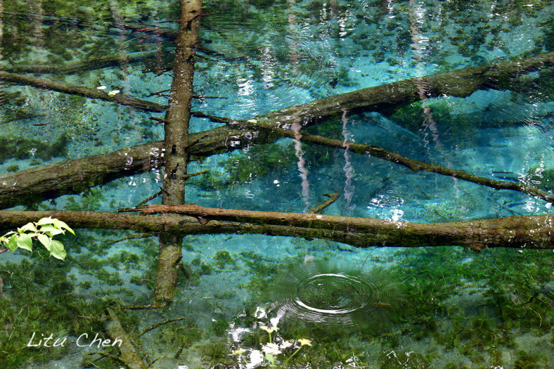 DSC_6759.jpg