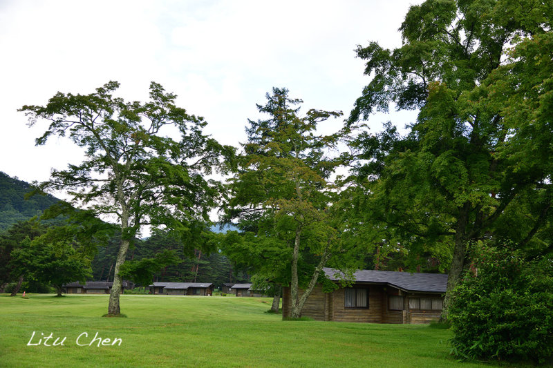DSC_8105.jpg