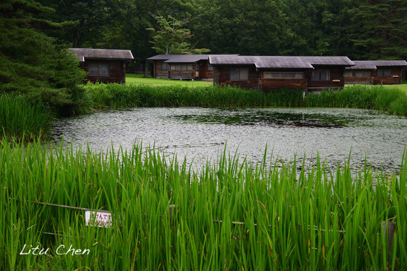 DSC_8505.jpg