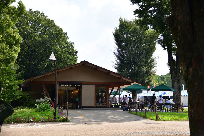 DSC_8991.jpg