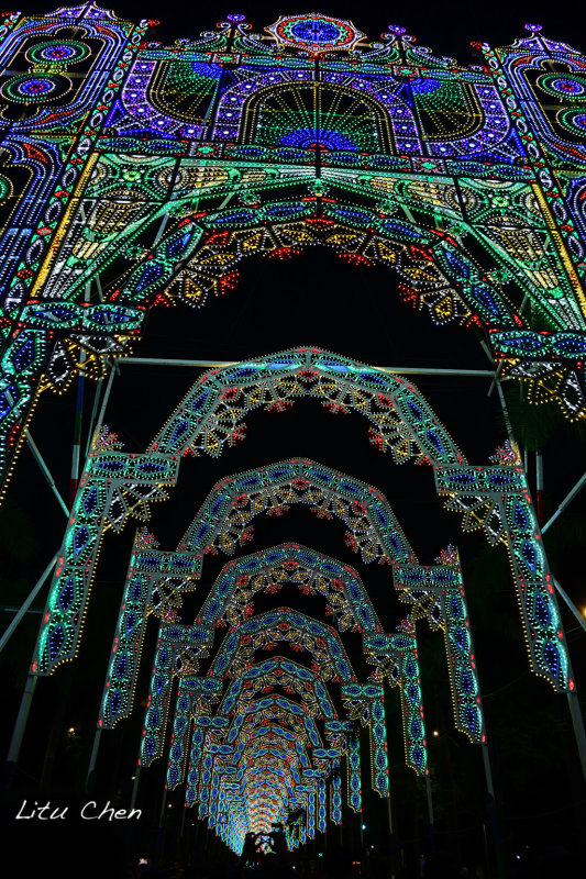 DSC_1205.jpg