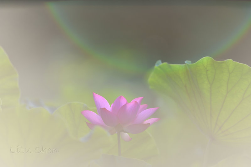 dsc_8689.jpg