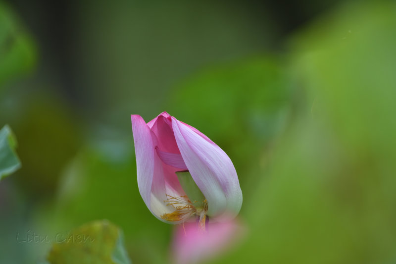 dsc_9409.jpg