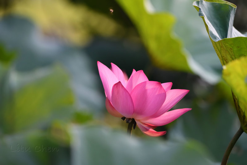 dsc_9643.jpg