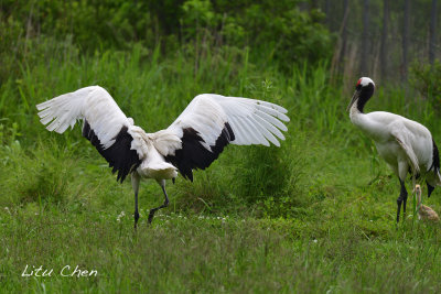 DSC_5653.jpg