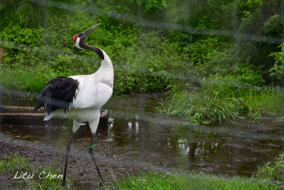 DSC_5729.jpg