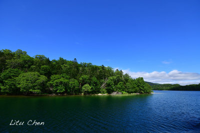 DSC_6056.jpg