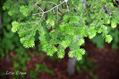 DSC_6322.jpg