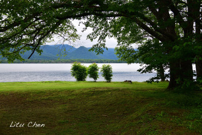 DSC_6402.jpg